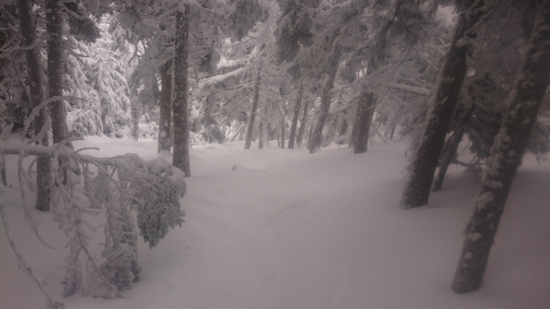 Greg’s Poop Chute 1/28/17 @ Sugarbush